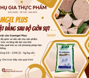 Ceamgel Plus: Bí Mật Đằng Sau Độ Giòn Dai 